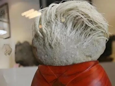 Ông lão nhặt được viên đá mọc 'tóc trắng', sau đó phải lập tức phong tỏa toàn bộ ngôi làng, vì sao?