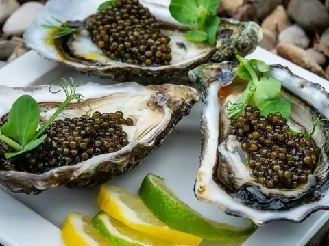 Những nguyên liệu này không chỉ là món ăn, mà còn là biểu tượng của sự xa xỉ, dành riêng cho những người có khả năng thưởng thức sự tinh tế, đẳng cấp của ẩm thực thế giới