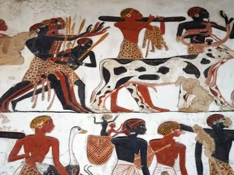 Ngôi mộ 4.000 năm tuổi của một phụ nữ quý tộc cùng với quạt lông đà điểu hé lộ bằng chứng lâu đời nhất về dây đeo đầu