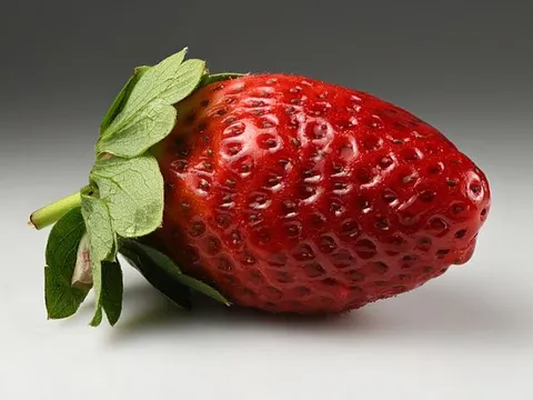 Sự thật bất ngờ: Dâu tây không phải là một quả thật sự