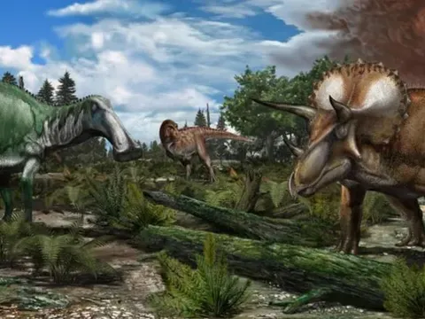 Khủng long không tuyệt chủng vì suy yếu: Nghiên cứu mới “minh oan” cho loài thống trị Trái Đất