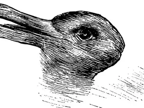 Nhìn thấy thỏ hay vịt? Ảo ảnh thị giác nổi tiếng tiết lộ điều gì về bạn?