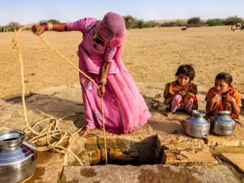 Sa mạc Thar đang "nở hoa": Bí ẩn về vùng đất khô cằn bất ngờ chuyển mình xanh mướt