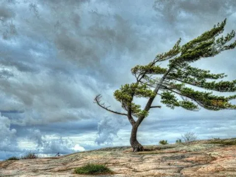 Tại sao lại có gió?