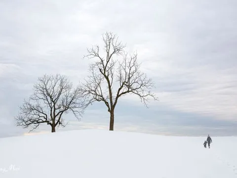 Vì sao tuyết có màu trắng?
