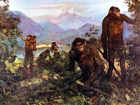 Từ một thảm họa thiên nhiên tưởng chừng hủy diệt, loài người đã viết nên câu chuyện tiến hóa kỳ diệu nhờ một chiến lược tưởng chừng đơn giản