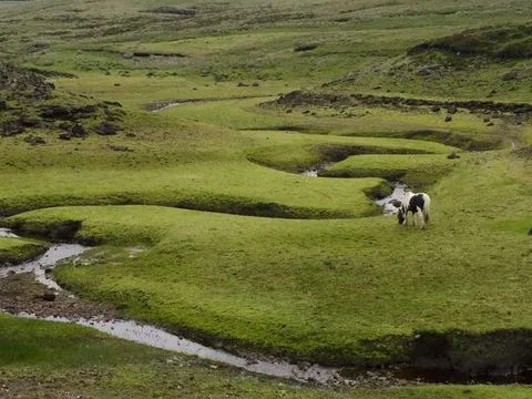Chiêm ngưỡng con sông kỳ lạ nhất thế giới: Có chỗ rộng chưa đến 4 cm, cá lớn bơi qua cũng… mắc kẹt