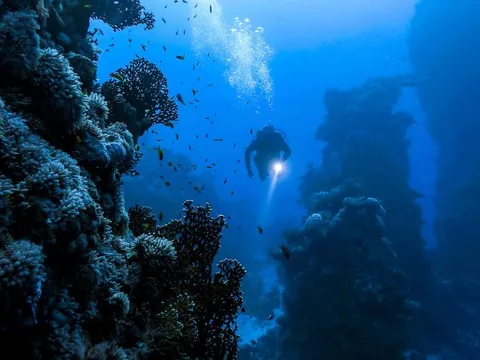 Rãnh Mariana và cuộc tìm kiếm sự sống ngoài Trái Đất