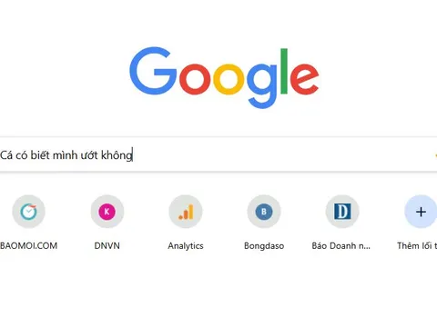 Phì cười trước những câu hỏi ngây ngô người ta thường tìm kiếm trên Google