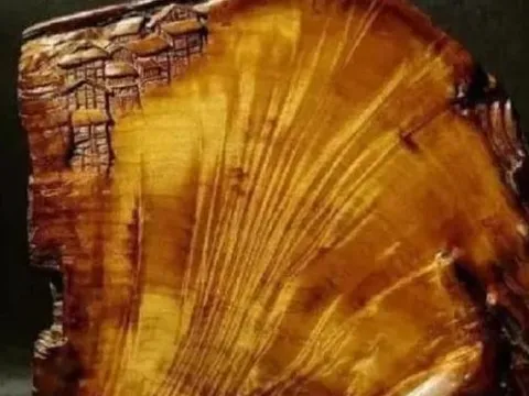 Bất ngờ đào được "bảo vật" trong góc bếp: Chiếc thớt cũ trăm năm giúp chàng trai đổi đời sau một đêm