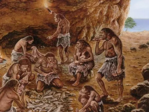 Nguyên nhân nào giúp vượn cổ có thể tiến hóa thành con người?