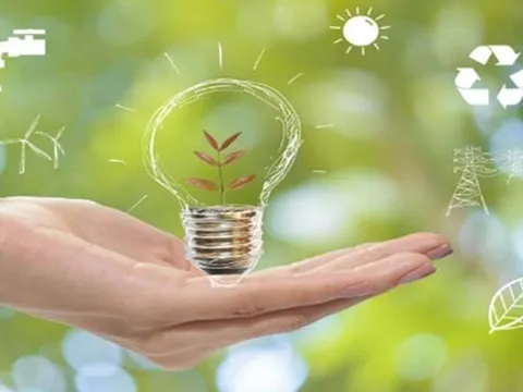 10 mẹo tiết kiệm điện đơn giản mà hiệu quả: Giảm hóa đơn, bảo vệ môi trường