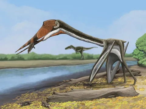 Phát hiện “Rồng địa ngục” quái vật bay tiền sử chưa từng được biết đến ở Mỹ