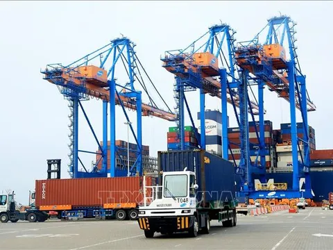 Bộ Công Thương thu hồi quyền cấp C/O, CNM và mã số REX từ VCCI