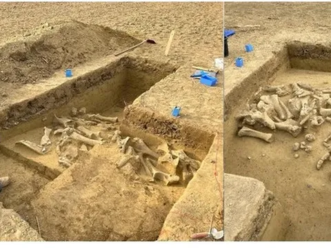 Khám phá nghĩa địa 25.000 năm tuổi của những quái vật khổng lồ thời băng hà