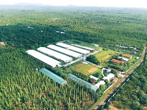 HDBank đồng hành cùng doanh nghiệp trong hành trình chuyển đổi xanh