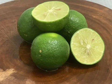 Vì sao chanh lại chua? – Lý do khoa học đằng sau vị chua đặc trưng