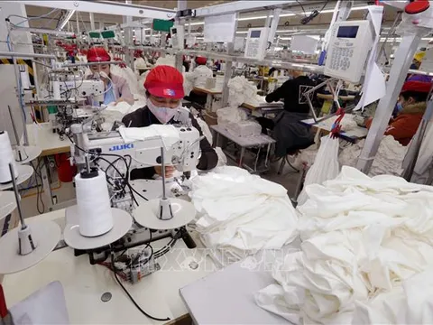 Dệt may thích ứng với chính sách thuế quan - Bài cuối: Tái cấu trúc, củng cố thương hiệu