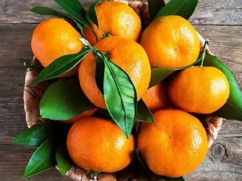 3 bí quyết đơn giản chọn quýt ngon ngọt ai cũng nên biết