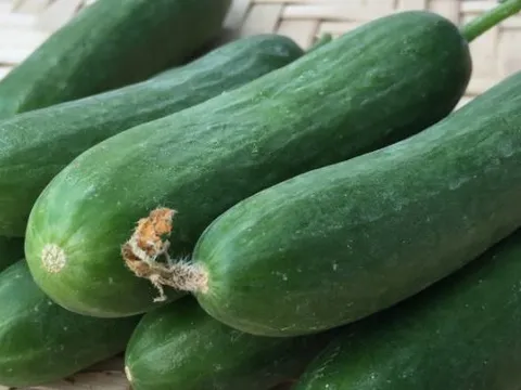 Chọn dưa chuột: Đừng vội tin quả còn hoa, mẹo nhỏ để tránh mua phải dưa phun thuốc