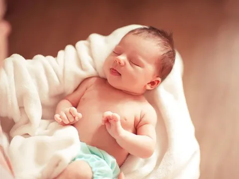 Tại sao động vật mới sinh ra có thể đi được còn con người thì không?