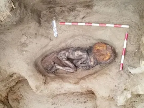 Phát hiện ngôi mộ 5.000 năm tuổi của nữ quý tộc Peru, chôn cùng mỏ chim tu-căng quý hiếm