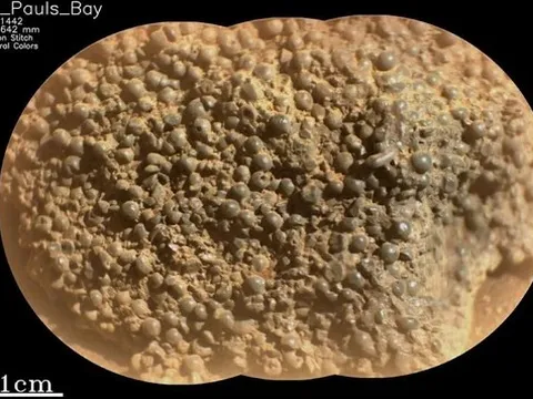 Tàu NASA phát hiện hàng trăm "trứng nhện" kỳ lạ trên Sao Hỏa