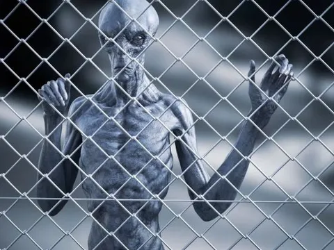 Tuyên bố chấn động: Người ngoài hành tinh tồn tại và đang tìm cách giết hại con người