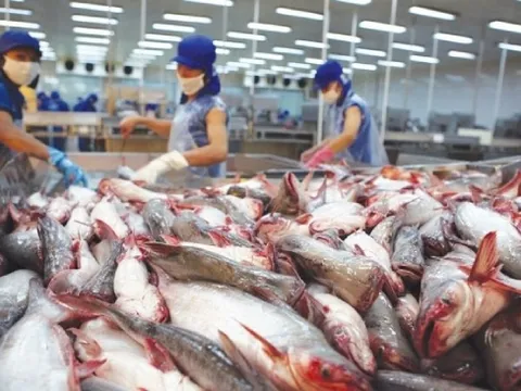 Doanh nghiệp thuỷ sản đối mặt ba nỗi lo