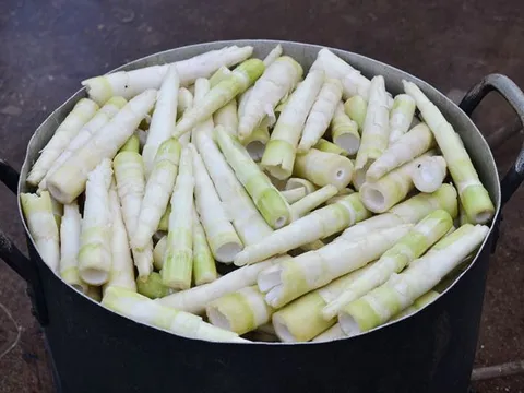 Bí quyết luộc măng tươi hết đắng, khử độc: Thêm loại nước nhà nào cũng có