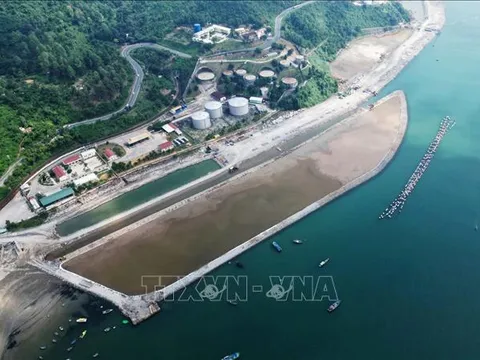 Hạt nhân kết nối cảng biển và logistics miền Trung - Bài cuối: Vươn lên bằng nguồn nhân lực chất lượng cao