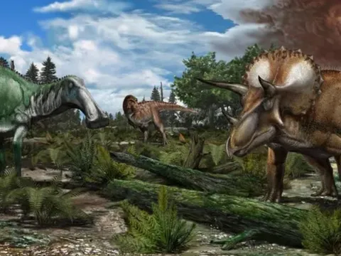 Nếu không có tiểu hành tinh va chạm, khủng long có thể vẫn còn tồn tại trên Trái Đất