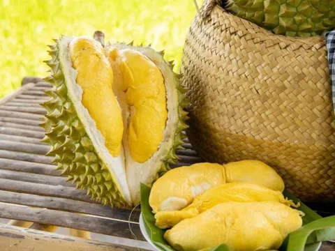 Bí quyết chọn sầu riêng ngon: Nhận biết quả chín cây, hạt lép, cơm dày không tẩm hóa chất