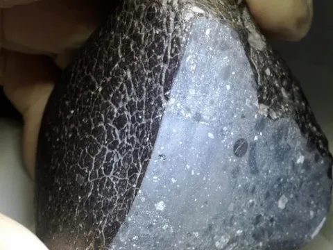 Đây là báu vật trời ban: Chỉ nặng 320 gram nhưng có giá 3,2 triệu USD, khiến giới tỷ phú toàn cầu khát khao sở hữu