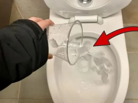 Đổ đá lạnh vào bồn cầu: Việc làm đơn giản, lợi ích to lớn