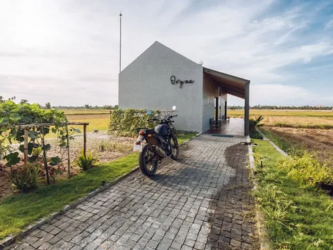 Xây nhà trên đất nông nghiệp năm 2025: Phải tháo dỡ và nộp phạt bao nhiêu tiền?