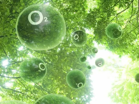 Bí ẩn nguồn gốc oxy trên trái đất dần được hé lộ từ hoạt động kiến tạo vỏ hành tinh