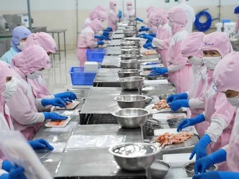 Doanh nghiệp thủy sản tăng tốc xuất khẩu sang Mỹ