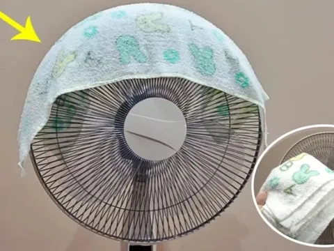 Mẹo hay ngày hè: Đặt khăn lạnh lên quạt, bí quyết làm mát đơn giản, hiệu quả bất ngờ
