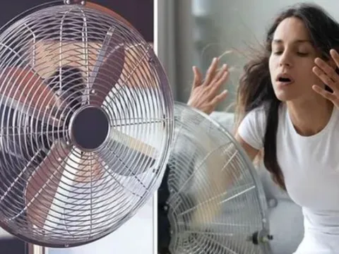 Mẹo dùng quạt mát hơn, tiết kiệm hơn trong ngày hè nóng bức