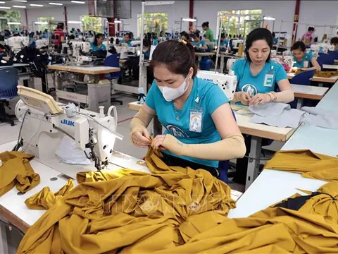 Doanh nghiệp vượt khó trong bối cảnh biến động thuế quan