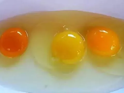Màu sắc lòng đỏ trứng tiết lộ điều gì về giá trị dinh dưỡng?