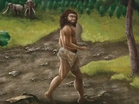 Phát hiện hài cốt người Denisovan ở Đài Loan hé lộ bí ẩn di truyền của người châu Á
