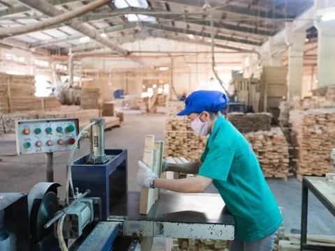 Việt Trung Quảng Bình: Từ nông trường quốc doanh đến doanh nghiệp sáng tạo tiêu biểu toàn quốc