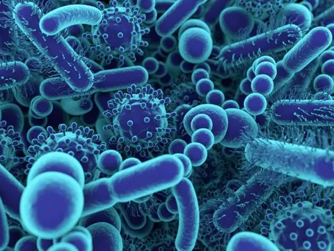 Tuyên bố chấn động: Sự sống ngoài hành tinh có thể không mang DNA như con người nhưng có khả năng di chuyển bằng hai chân