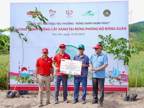 Phú Yên: Trồng hơn 10.000 cây xanh tại rừng phòng hộ Đồng Xuân