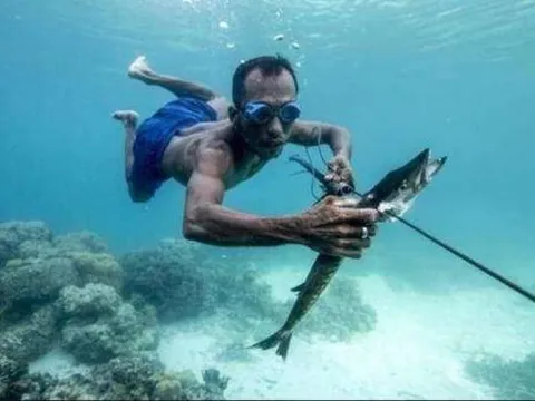 Dân tộc duy nhất không có quốc tịch trên thế giới, họ sống cả đời dưới biển và đôi tai của họ khác với tai của người thường