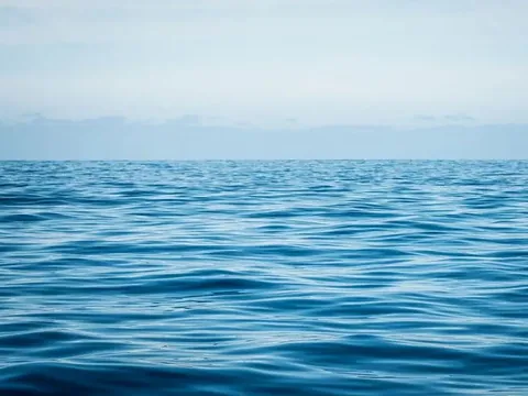 Các đại dương trên trái đất có thể sớm chuyển sang màu tím: Dấu hiệu cảnh báo từ biến đổi khí hậu