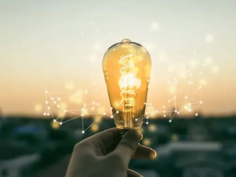 Phát hiện chấn động: Sinh vật có khả năng dẫn điện như một sợi dây sống