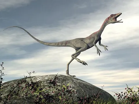 Khủng long nào chạy nhanh nhất? Câu trả lời bất ngờ từ khoa học hiện đại